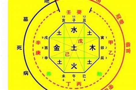 八字喜用神怎麼看|【八字喜用神怎麼看】八字新手必看！掌握「八字喜用神」輕鬆提。